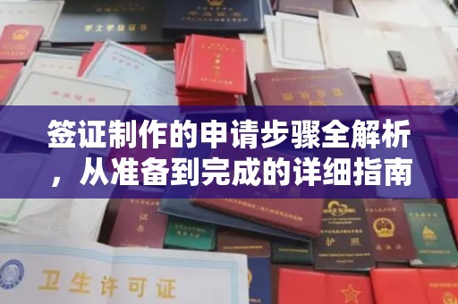 南平签证制作的申请步骤全解析，从准备到完成的详细指南