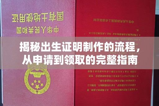 南平揭秘出生证明制作的流程，从申请到领取的完整指南