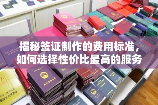南平揭秘签证制作的费用标准，如何选择性价比最高的服务？